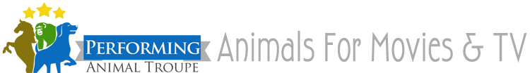 Performing Animal Troupe - Hollywood animals for TV, Movies, Commercials, Print, and more!